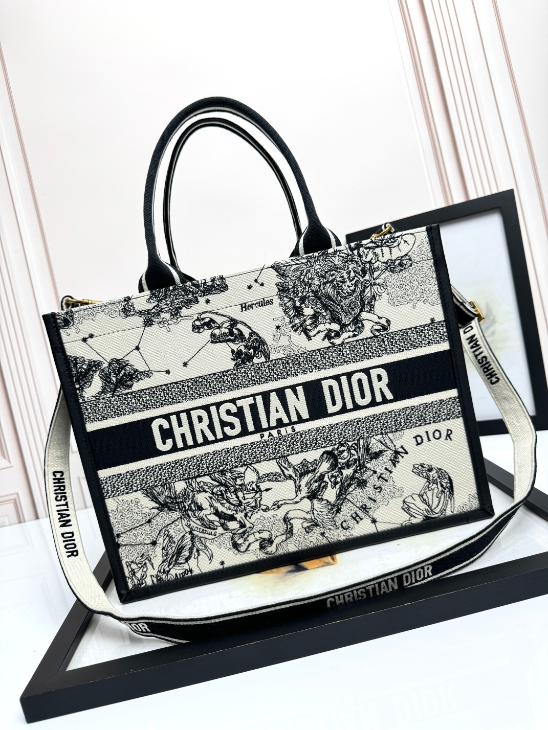 Medium Dior Book Tote Bag Latte and Black Dior Zodiac Embroidery with Black Calfskin